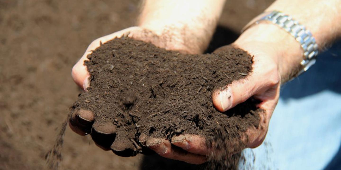 Comment San Francisco fabrique son compost