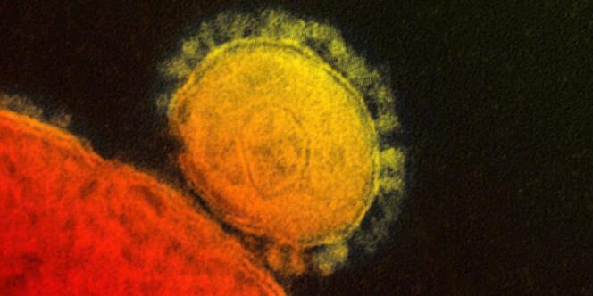 Photo colorisée du coronavirus MERS.
