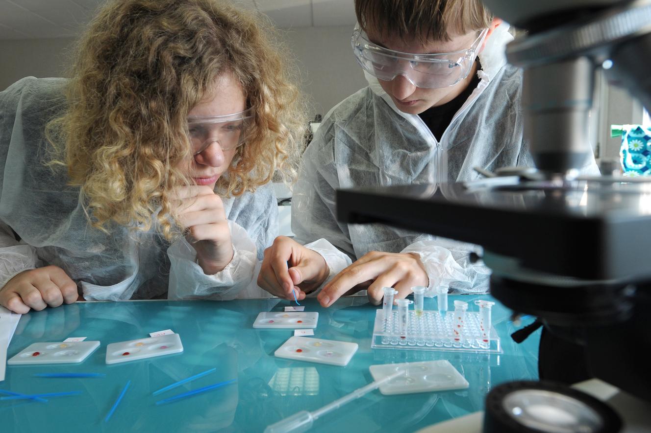 Bien Choisir Ses Enseignements D exploration En Seconde