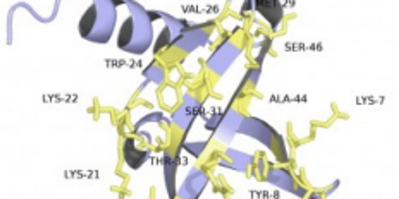 Biomédicaments : l'avenir de la pharmacie ?