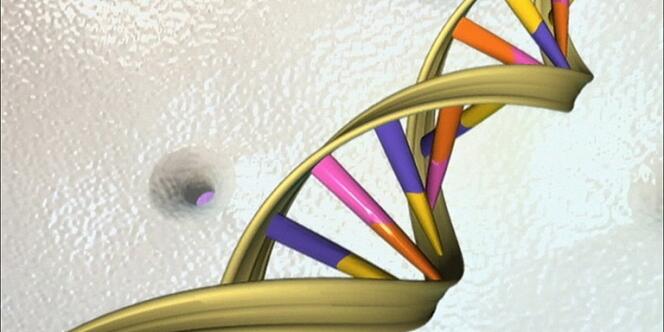 Illustration de la double hélice de l'ADN.