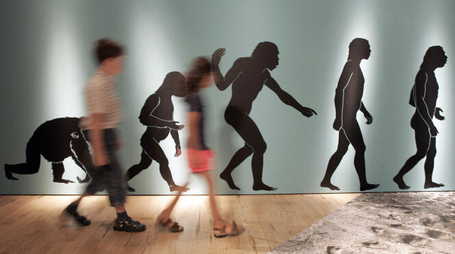 L’exposition « ROOTS // Roots of Mankind », au Rheinisches Landesmuseum de Bonn (Allemagne), en 2006.