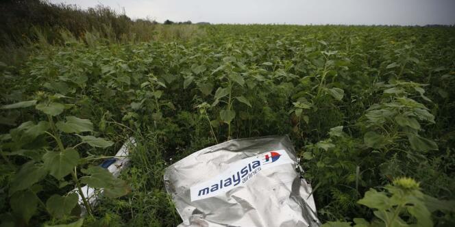 Un débris de l'appareil de la Malaysia Airlines MH17 abattu en vol au-dessus de l'Ukraine le 17 juillet 2014. 