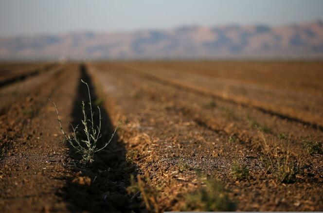 L'Ouest américain, et notamment la Californie, subit une grave sécheresse pour la troisième année consécutive.