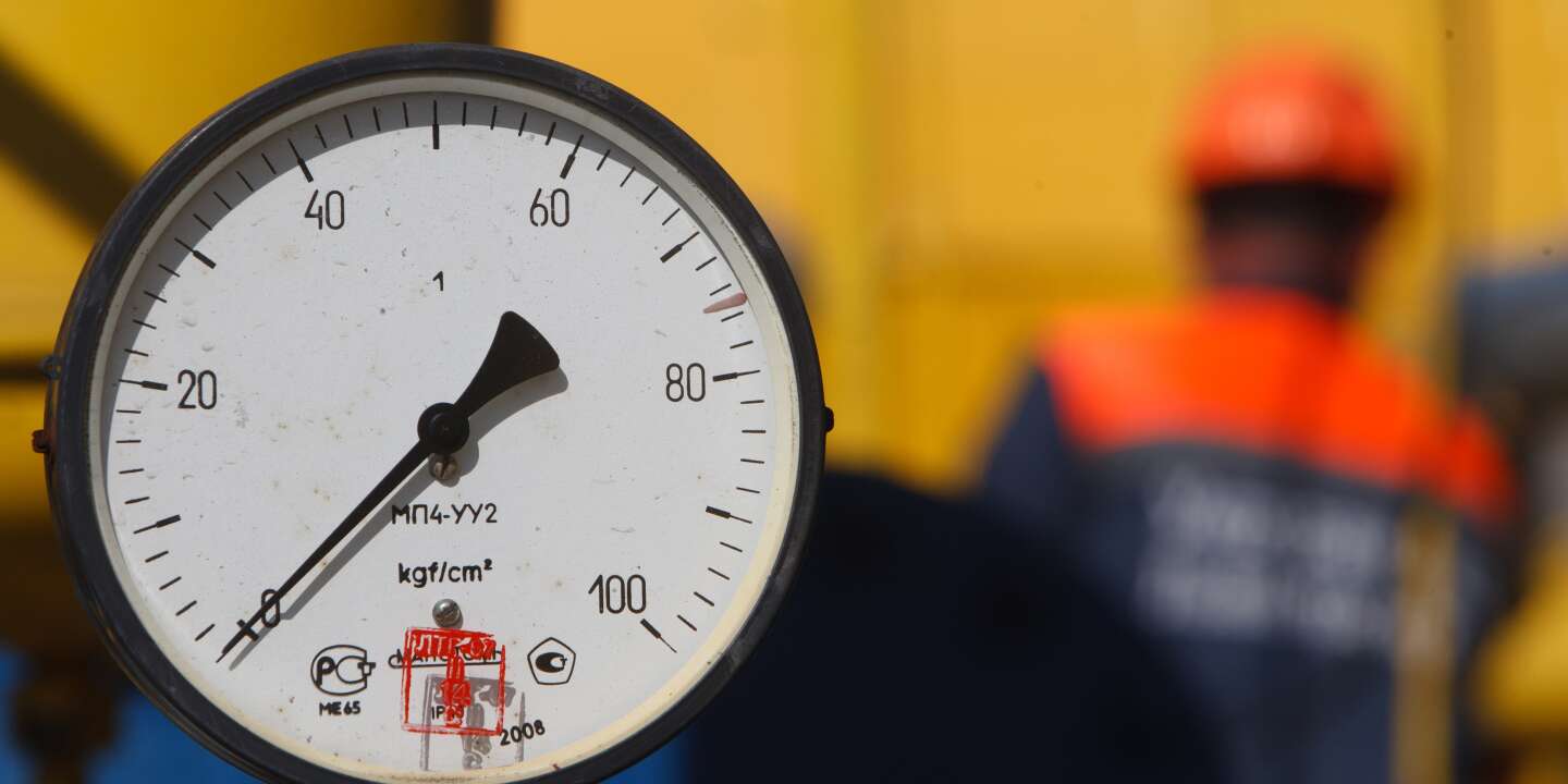Deutschland erkennt an, dass „Gas jetzt eine knappe Ressource ist“, nachdem die Lieferungen aus Russland zurückgegangen sind