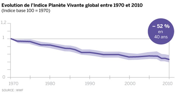 La Terre A Perdu La Moitié De Ses Populations Despèces - 