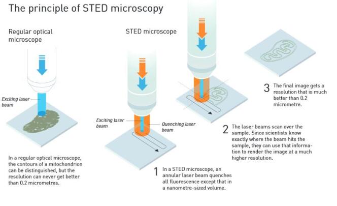 Le Nobel de chimie 2014 récompense la découverte d'un nouveau principe de microscopie par fluorescence.