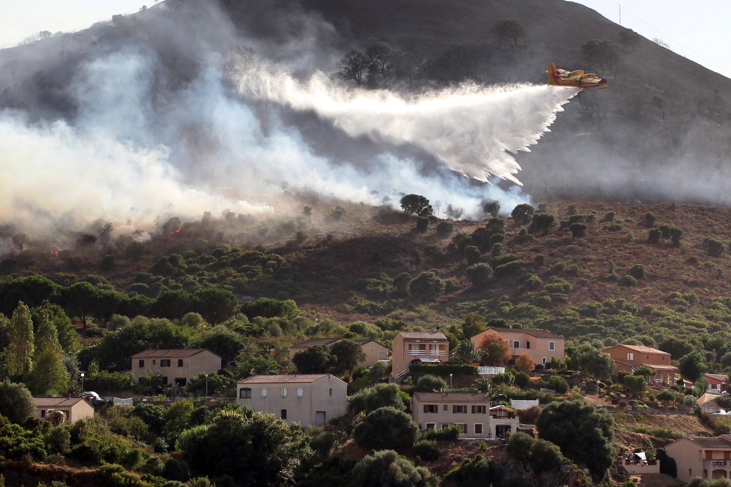 En Haute Corse Des Incendies Attis s Par De Forts Coups De Vent en-haute-corse-des-incendies-attis-s-par-de-forts-coups-de-vent