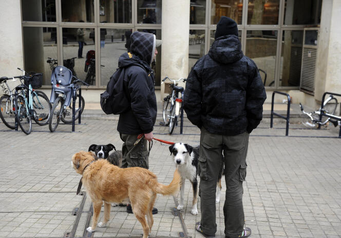 « Même les xénophobes se sont soudain aperçus qu’il y avait des SDF « français » et, attentats aidant, qu’il était préférable de stigmatiser l’immigré, le sans-papiers, le demandeur d’asile ou le musulman que l’assisté » (Photo: deux SDF en compagnie de leurs chiens regarde sous les arches du centre commercial Saint-Christoly, à Bordeaux, en 2009).