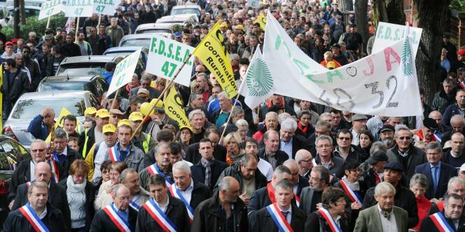 Les manifestants en faveur du projet de barrage à Sivens, le 15 novembre à Albi (Tarn).
