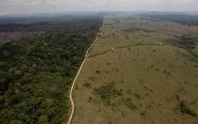 La déforestation dans l’Etat brésilien de Para, en 2009
