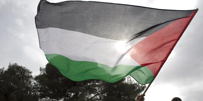 Un Arabe israélien agite un drapeau palestinien lors d'une manifestation en Israël.