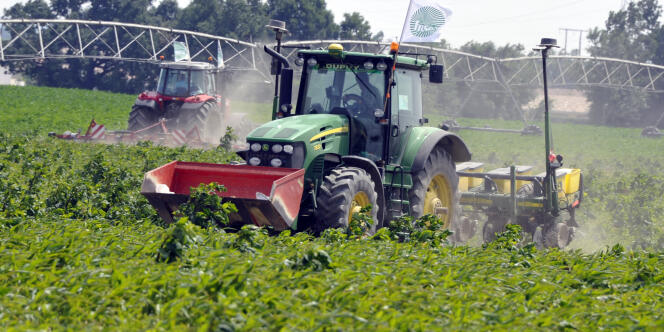 Un tracteur détruit des plantes de maïs transgénique, le 6 juin, à Saubens (Haute-Garonne). 
