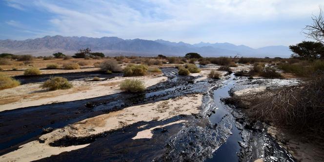 Des milliers de litres de pétrole se sont déversés dans le désert israélien, suite à la fuite d'un oléoduc, mercredi 3 décembre.