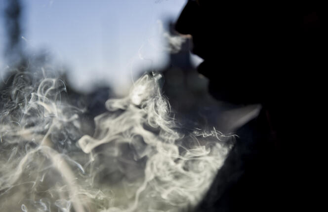 Un fumeur de marijuana, à Montevideo, en Uruguay, le 14 décembre 2014.