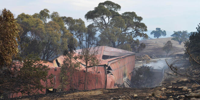 Plusieurs habitations ont été détruites dans des feux de brousse, le 3 janvier 2015 en Australie.