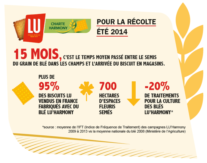 Culture du blé toute une filière se mobilise