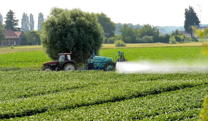 Traitement d’un champs aux pesticidesà Vimy (Pas-de-Calais).
