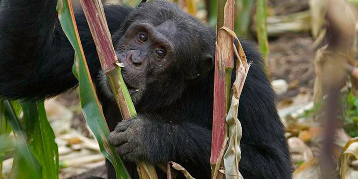 8c730c6 86 11s5v7j Jpg 8c730c6 86 11s5v7j Jpg