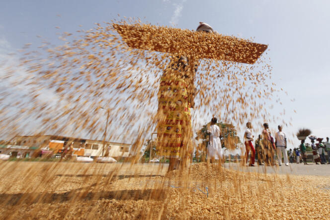 Une femme trie des grains de riz, en avril 2013.