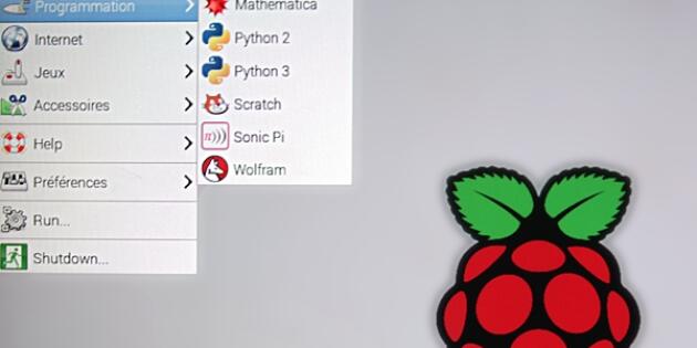 La version de Linux spécialement adaptée pour le Raspberry Pi.