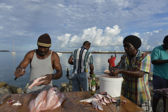 Les pêcheurs de Guadeloupe craignent que les travaux n’engendrent des tonnes de sédiments qui asphyxient les fonds.