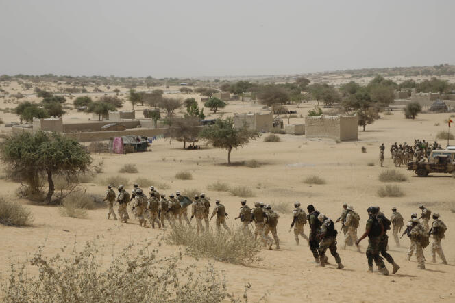 Des soldats tchadiens, lors d'un exercice avec les forces spéciales nigérianes, à Mao, au Tchad , le 7 mars.