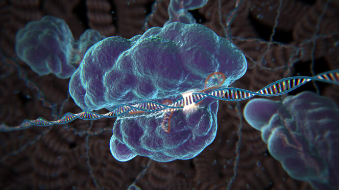 Image de synthèse présentant le complexe CRISPR-Cas9.