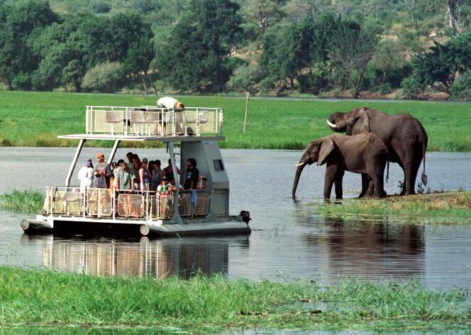 Des touristes photographient des éléphants, au Botswana.