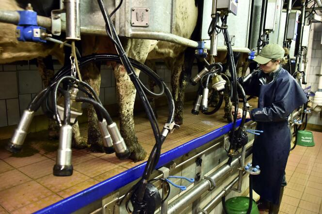 Une exploitation laitière à Bains-sur-Oust, en Ille-et-Vilaine.