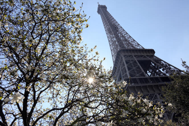 Des arbres en fleurs tout près de la tour Eiffel à Paris, le 6 avril 2015.