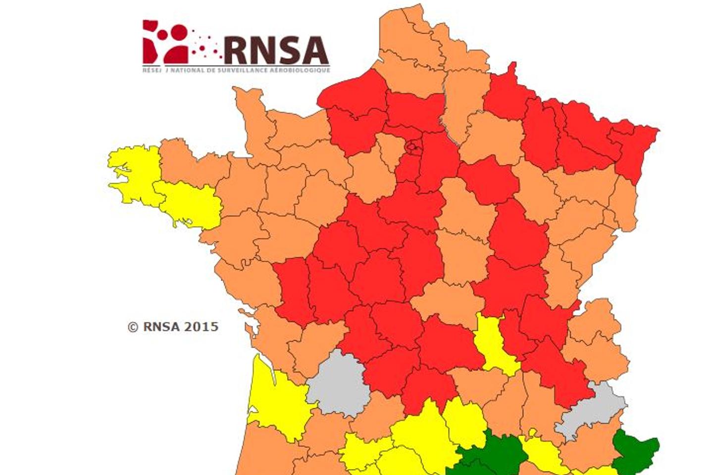 Une semaine rouge pour les allergiques au pollen