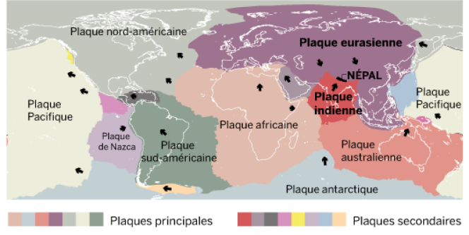 Plaques tectoniques à la surface du globe.