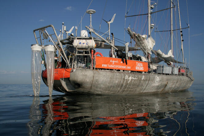 Le voilier Tara a déployé sept types de filets, jusqu'à 1000 mètres de profondeur, pour décrire la diversité planctonique.