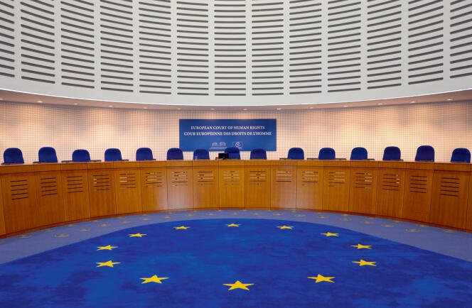 La Cour européenne des droits de l'Homme.
