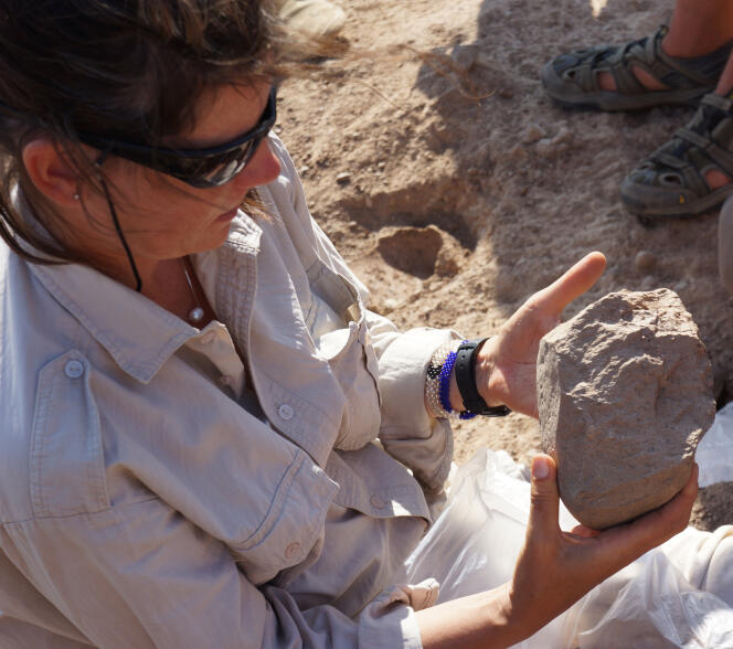 Sonia Harmand (CNRS, Université Stony Brook, New York), responsable de la mission archéologique West Turkana, examine un des plus anciens outils lithiques (3,3 millions d'années) découverts lors d'une prospection au Kenya.