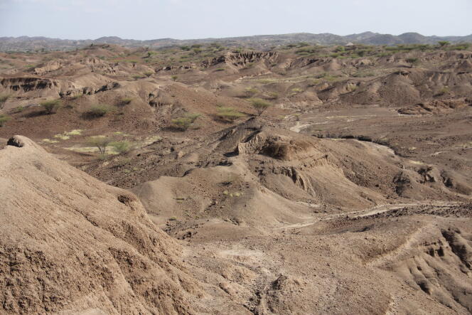 Vue générale du site de Lomekwi, au Kenya, où les plus vieux outils lithiques connus (3,3 millions d'années) ont été découverts.