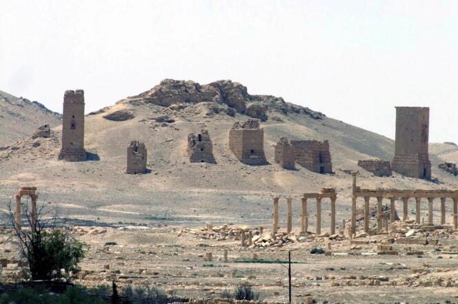 Une vue des ruines antiques de Palmyre, diffusée par l’agence officielle Sana, le 17 mai.