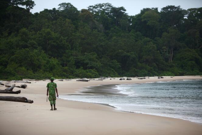 Au Gabon, les trois parcs nationaux autour de Libreville s'étendent entre forêts tropicales et plages.