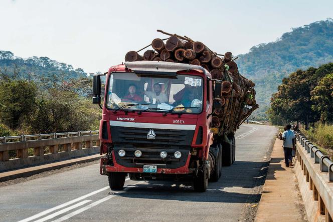 Le transport du bois se fait par camion au Mozambique.