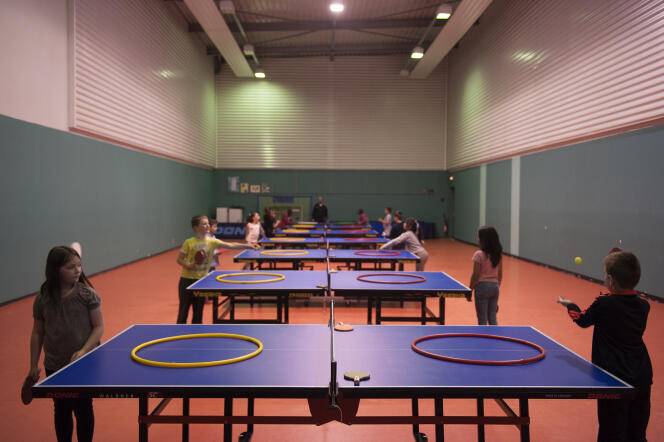 Atelier de ping-pong dans la Halle aux sports d'Epinal (Vosges), le 29 mai 2015.