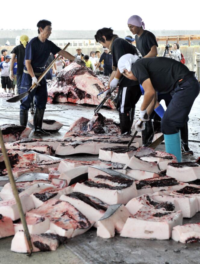 A destination du Japon, la cargaison du « Winter-Bay » contient 1 700 tonnes de viande de baleine, un met prisé dans l'archipel nippon.