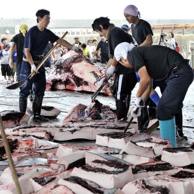 Des pêcheurs découpent le produit d'une pêche à la baleine au port de Wada, dans la préfecture de Chiba, en juin 2008.