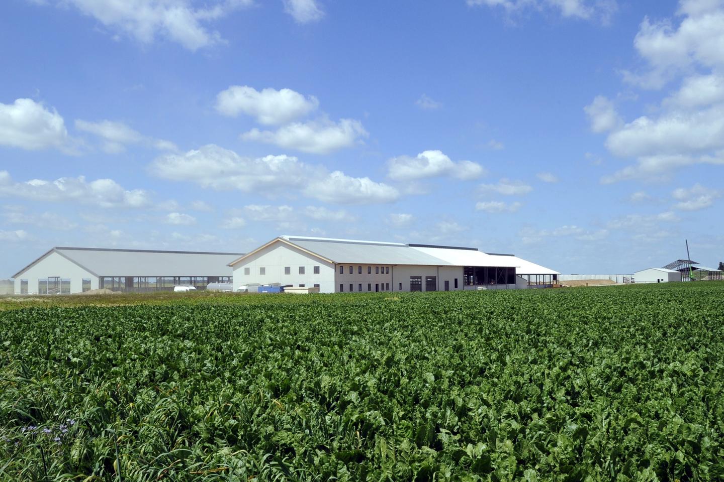 “La única forma de evitar los excesos es exigir a los actores agroalimentarios que sean transparentes sobre sus transacciones y sus identidades”