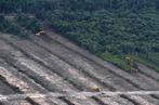 Deforestation sur l’île de Bornéo (Indonésie) pour laisser place à une plantation d’arbres destinés à la production d’huile de palme, le 24 février 2014.