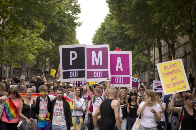 Des pancartes en faveur de la PMA, lors de la marche des fiertés, le 29 juin 2017, à Paris.