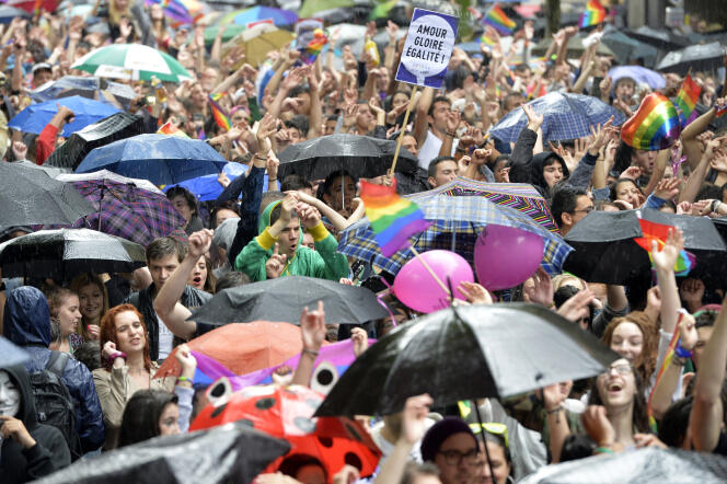 Participants à la Gay Pride à Paris le 28 juin 2014.