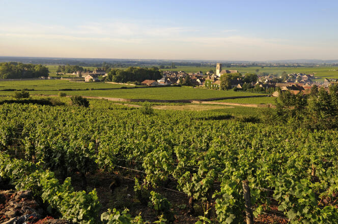 Le village de Pommard, en Bourgogne.