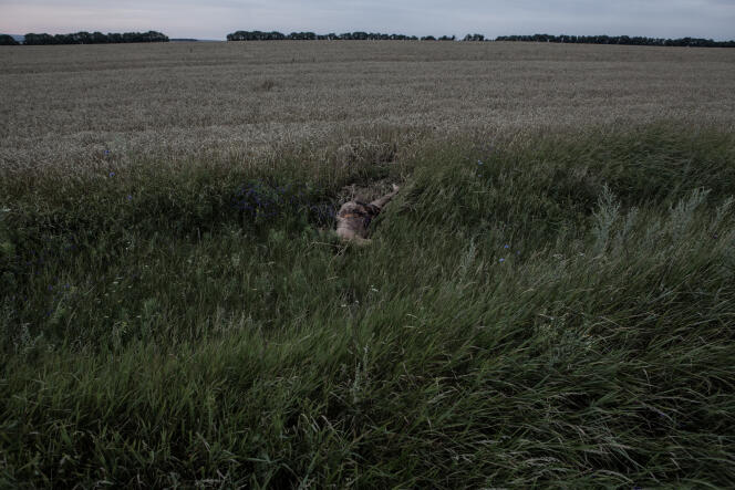 Corps d'un passager sur le site du crash à proximité du village de Hrabove, en Ukraine.