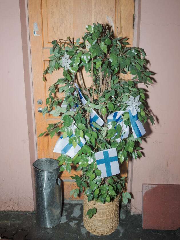Un pot de fleur dans un bar karaoké du centre de Tallinn, destination appréciée des "vodka-touristes".